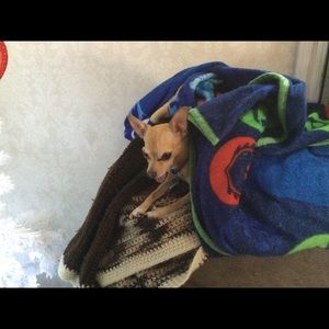 Meet your Posher, Krystal